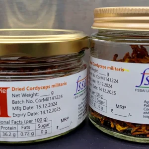 Cordyceps mushroom Keeda Jadi Mushroom