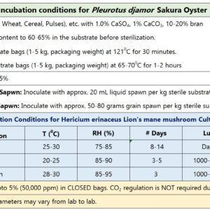 Sakura Oyster Mushroom Culture (Pleurotus djamor)