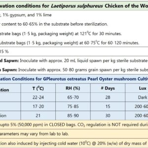 Laetiporus sulphureus Pure Culture (Chicken of the Woods)