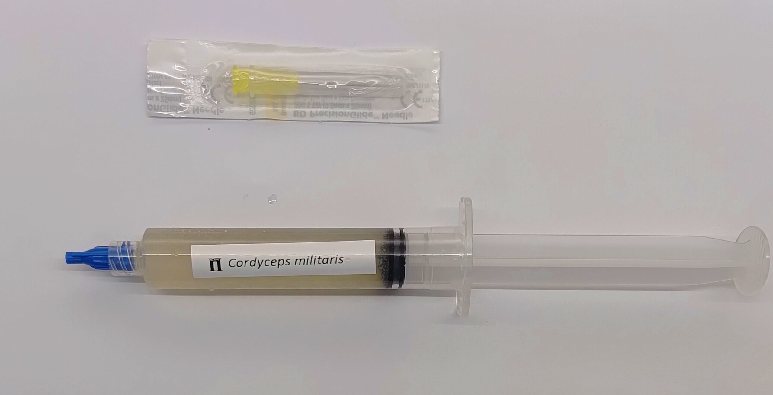 Cordyceps militaris liquid culture syringe