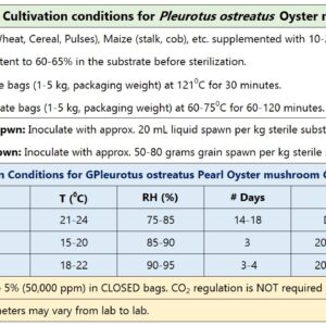 Princess Pearl Oyster mushroom Culture (Pleurotus ostreatus)