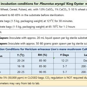 King Oyster Mushroom Culture Plate (Pleurotus eryngii)