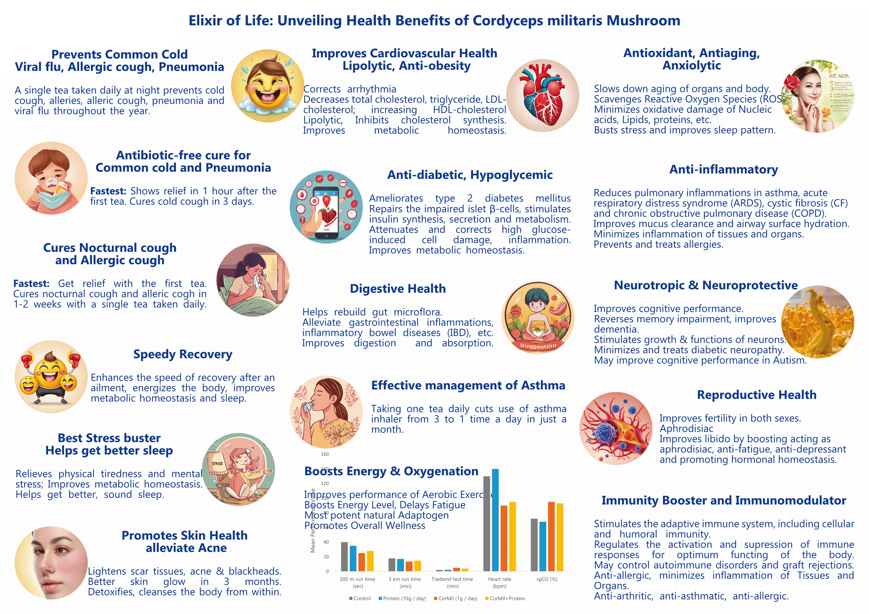 Cordyceps mushroom Keeda Jadi Mushroom