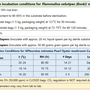 Enoki Mushroom Pure Culture (Flammulina velutipes)