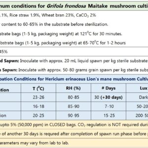 Maitake mushroom culture (Grifola frondosa)