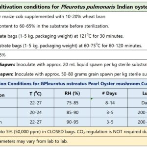 Indian Oyster Mushroom Culture Plate (Pleurotus pulmonarius)