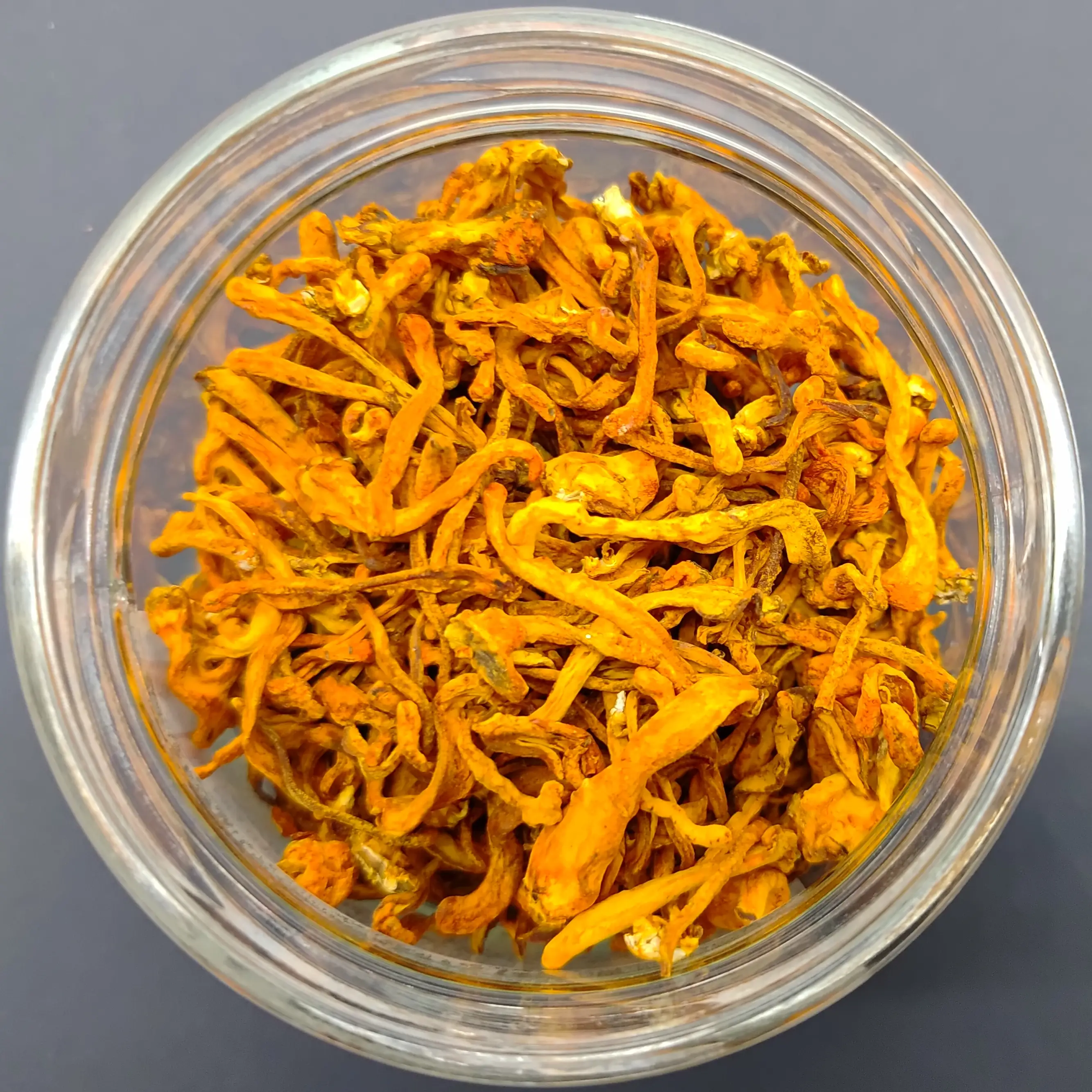 Cordyceps mushroom Keeda Jadi Mushroom