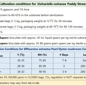 Paddy Straw Mushroom (Volvariella volvacea) Culture