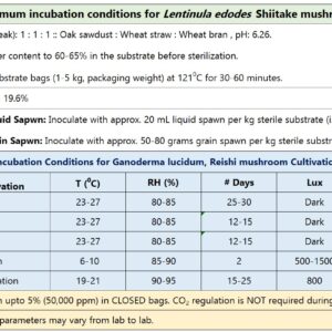 Shiitake Mushroom Pure Culture Plate (Lentinula edodes)